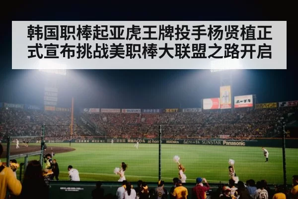 baseball stadium night