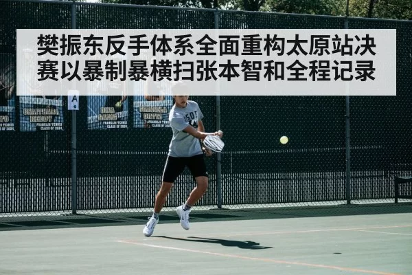 樊振东反手体系全面重构太原站决赛以暴制暴横扫张本智和全程记录